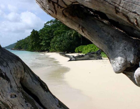 Plages Secrètes d'Asie